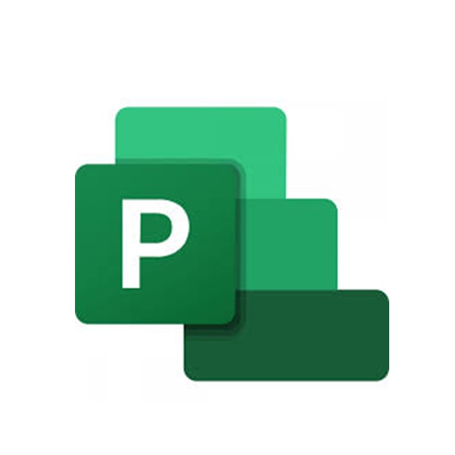 Project Plan Microsoft Project Standard 2021 - Gambar 1